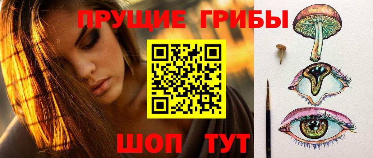 Псилоцибиновые грибы мицелий Бийск